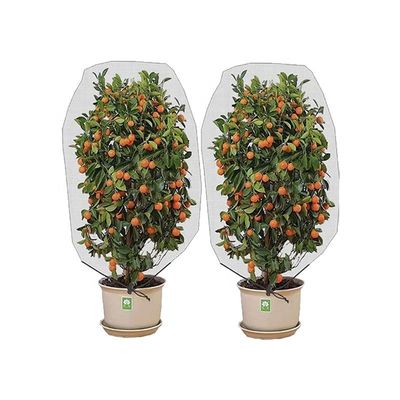 Agricoltura HDPE Plastic Anti Insect Mesh Insect Proof Net per copertura di alberi da frutto Protezione mesh sacchetto efficace controllo dei parassiti