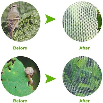 Agricoltura HDPE Plastic Anti Insect Mesh Insect Proof Net per copertura di alberi da frutto Protezione mesh sacchetto efficace controllo dei parassiti