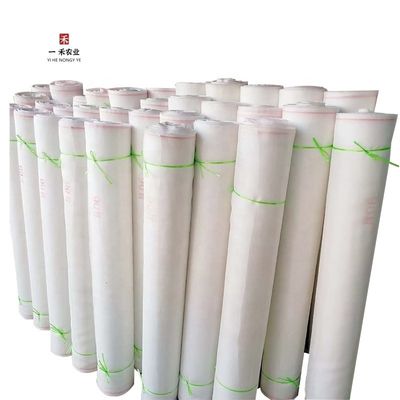 Rete trasparente per repellenti di insetti 20x10 Rete anti-afidi per l'agricoltura e le vele ombrose Reti di recinto nella lotta contro i parassiti