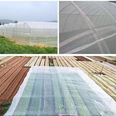 Rete trasparente per repellenti di insetti 20x10 Rete anti-afidi per l'agricoltura e le vele ombrose Reti di recinto nella lotta contro i parassiti