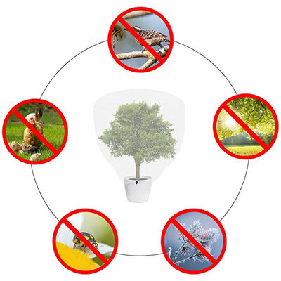 Rete anti-insetto pieghevole HDPE resistente per la protezione agricola 40 50 Maglia 45g 60g 70g
