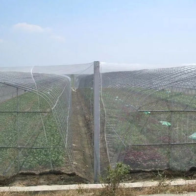 Rete anti-insetto pieghevole HDPE resistente per la protezione agricola 40 50 Maglia 45g 60g 70g