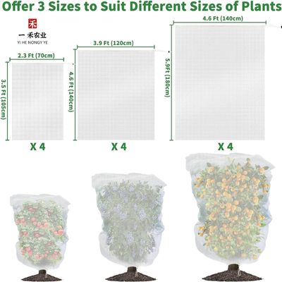 Coperture di alberi da frutto con plastica HDPE di tipo anti-insetto