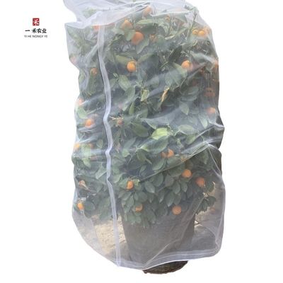 Coperture di alberi da frutto con plastica HDPE di tipo anti-insetto