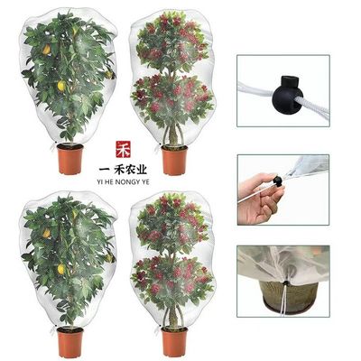 Coperture di alberi da frutto con plastica HDPE di tipo anti-insetto