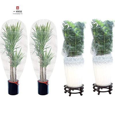 Rete anti-insetto per piante in HDPE per giardinaggio ortofrutticole fiori ortofrutticoli stringa anti-uccelli Rete anti-insetto