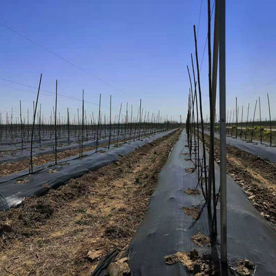 Giardino Agriturismo Nero Antierba Tessuto Barriera Erbe Infestanti Matto Controllo Mulch Strumento di tessuto PORTABLE