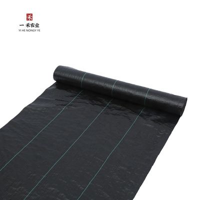 Copertura di terra in plastica Matta di tessuto per la lotta contro le erbe infestanti con rete non tessuta in PP