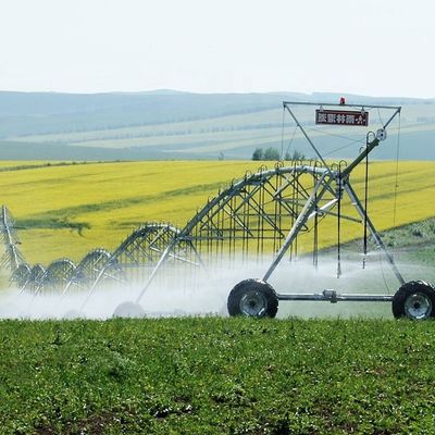 Centro di attrezzature per macchine agricole Sistema di irrigazione a perno di 168 cm di diametro e 2200 kg di capacità