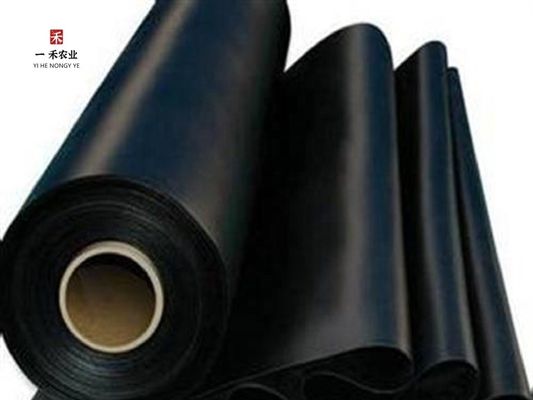 Geomembrana in HDPE per miniere, serbatoi, dighe, stagni, pesci, gamberetti