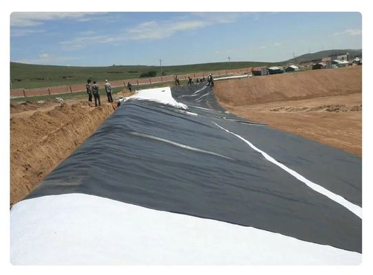 Geomembrana in HDPE per miniere, serbatoi, dighe, stagni, pesci, gamberetti