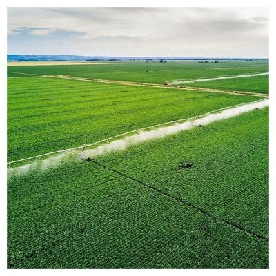 Sistema di irrigazione a pivot di 168 cm di diametro per una distribuzione ottimale dell'acqua nelle aziende agricole