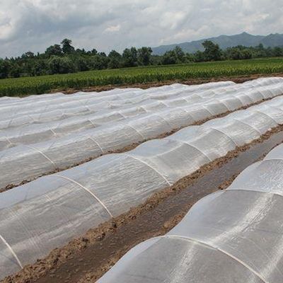 Reti anti-insetti UV in HDPE Soluzione ideale per la protezione degli alberi da frutto