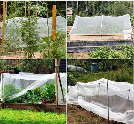 Reti anti-insetti UV in HDPE Soluzione ideale per la protezione degli alberi da frutto