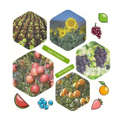 Rete anti-insetto per serre resistente agli insetti di plastica in HDPE UV per orti agricoli