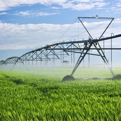 Aggiornate la vostra attività agricola con 300 KG Farms Sistema di macchine di irrigazione a pivot centrali alimentate a energia solare