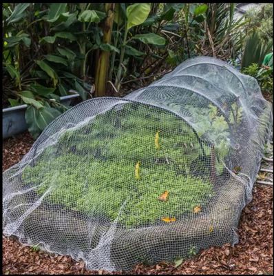 TRAPS Rete anti-insetti agricoli per serre lunga durata di vita