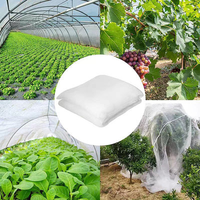 40 80 maglia Anti insetto schermo rete serra agri pomodoro Protezione a prova di insetti maglia trasparente anti afide rete TRAPS