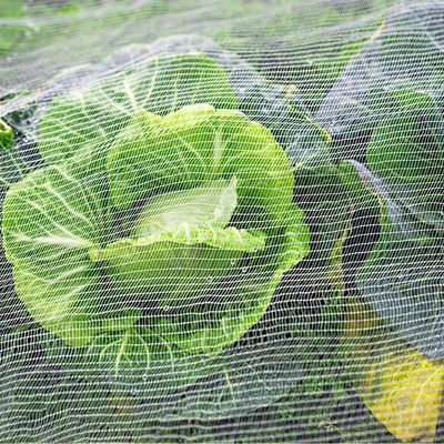 TRAPS Reti da giardino di plastica per le piante Barriera antiparassitaria mosca insetto uccello schermi antiinsetto proteggere frutta fiori verdura