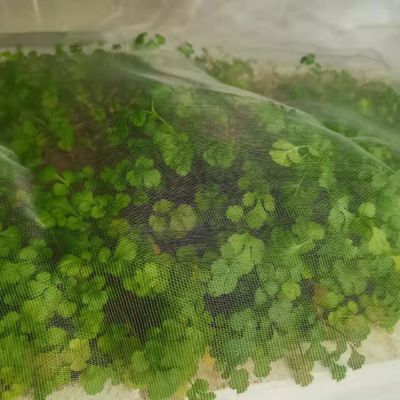 TRAPS Reti da giardino di plastica per le piante Barriera antiparassitaria mosca insetto uccello schermi antiinsetto proteggere frutta fiori verdura