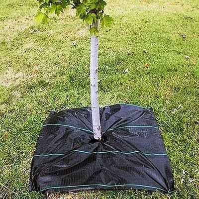 Protezione PP Tissuto Membrana PE Ground Cover Mesh Weed Mat Roll Anti-Grass Weed Mulch