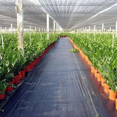 Protezione PP Tissuto Membrana PE Ground Cover Mesh Weed Mat Roll Anti-Grass Weed Mulch