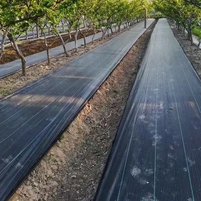 Protezione PP Tissuto Membrana PE Ground Cover Mesh Weed Mat Roll Anti-Grass Weed Mulch