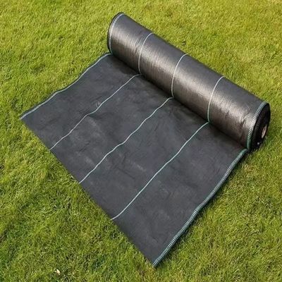 Protezione PP Tissuto Membrana PE Ground Cover Mesh Weed Mat Roll Anti-Grass Weed Mulch