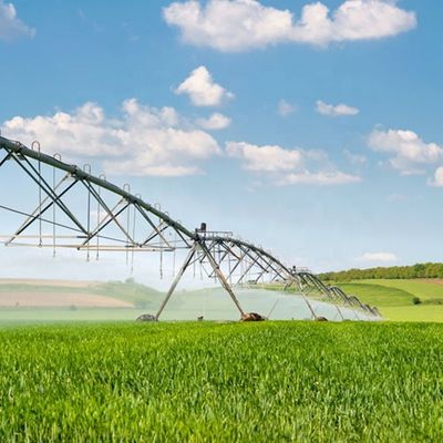 Centro agricolo Sistema di irrigazione pivot di aziende agricole con macchina di spruzzatura assiale e spruzzatore a rimorchio