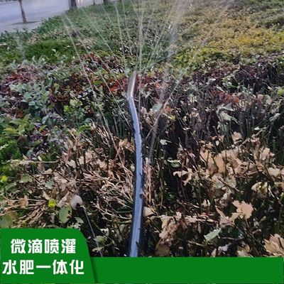 20mm-75mm tubo di pioggia giardino agricoltura Acqua di pioggia nastro micro spray tubo materiale di plastica durevole per l'irrigazione del giardino