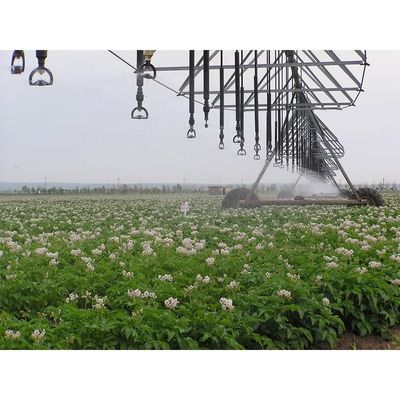 Agricoltura U Accoppiatore di linea di azionamento congiunto per macchine di irrigazione a perno centrale Parti di macchine per i negozi di materiali da costruzione