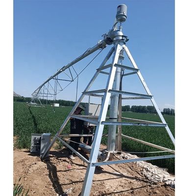 Fornitura diretta di granturco Centro agricolo su larga scala Sistemi di macchine di irrigazione a spillo di 168 cm di diametro e Ha al ristorante