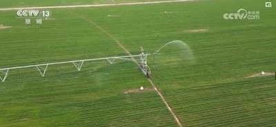 Sistema di irrigazione a pivot di Centro di aziende agricole robuste e scelta ecologica per l'irrigazione agricola Diametro 168 cm