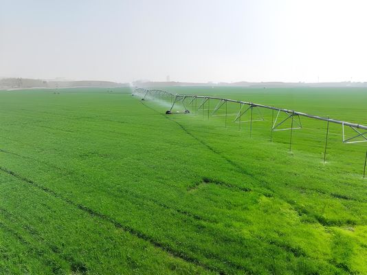 2000 KG attrezzature per macchine agricole pompa motore ingranaggio lineare movimento laterale sistema di irrigazione a rotoli per le esigenze del cliente