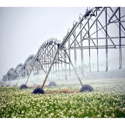 2000 KG attrezzature per macchine agricole pompa motore ingranaggio lineare movimento laterale sistema di irrigazione a rotoli per le esigenze del cliente