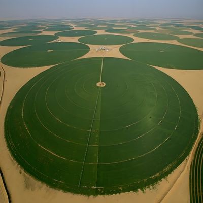 230 pollici di diametro grande centro pivot irrigazione macchina Perfetto per il grano pompa core di ingranaggi