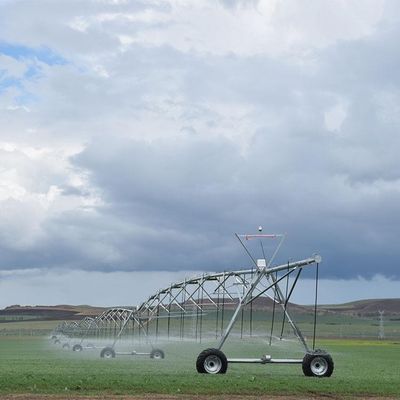 Successo agricolo a lungo termine con il nostro sistema pivotante di 30 pollici di diametro, distribuzione accurata dell'acqua e struttura robusta