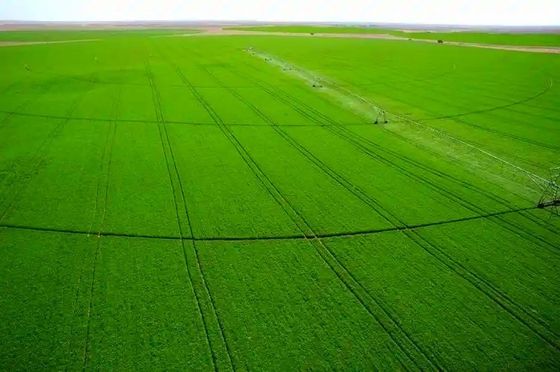 Successo agricolo a lungo termine con il nostro sistema pivotante di 30 pollici di diametro, distribuzione accurata dell'acqua e struttura robusta