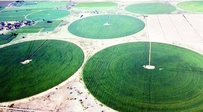 Aziende agricole di punta per l'irrigazione avanzata con monitoraggio remoto