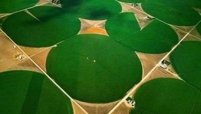 Irrigazione con pivot centrale con monitoraggio remoto e costruzione in metallo