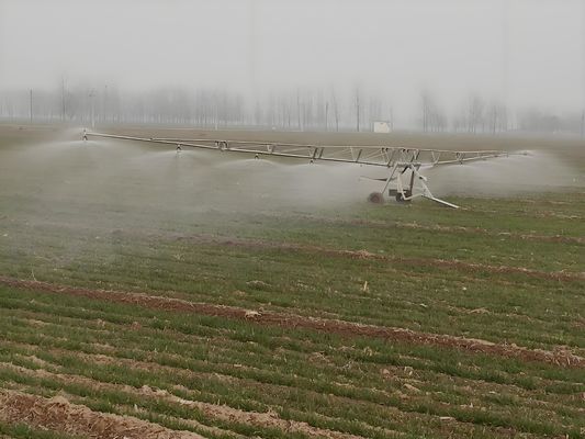 2024 Agriculture Fair Hose Reel Sprinkler Traveling Irrigation Machine con Boom OEM da Metal Manufacturing Plant