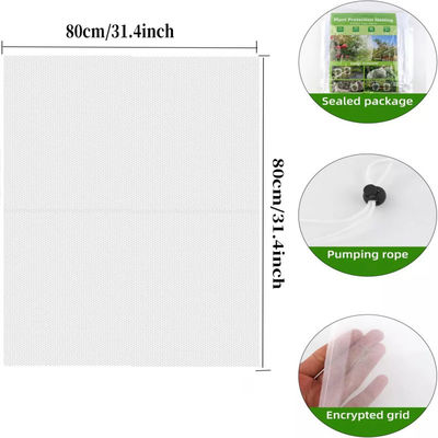 6 * 9 pollici sacchetto di rete di maglia di nylon per la protezione delle piante e dei frutti del giardino dire addio ai pesticidi nocivi