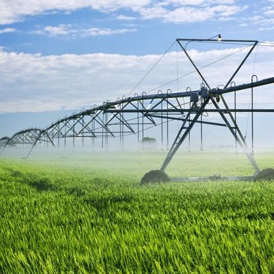 Aumenta la produttività della tua azienda con il sistema di irrigazione per l'agricoltura a rotoli laterali