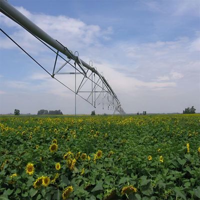Aumenta la produttività della tua azienda con il sistema di irrigazione per l'agricoltura a rotoli laterali