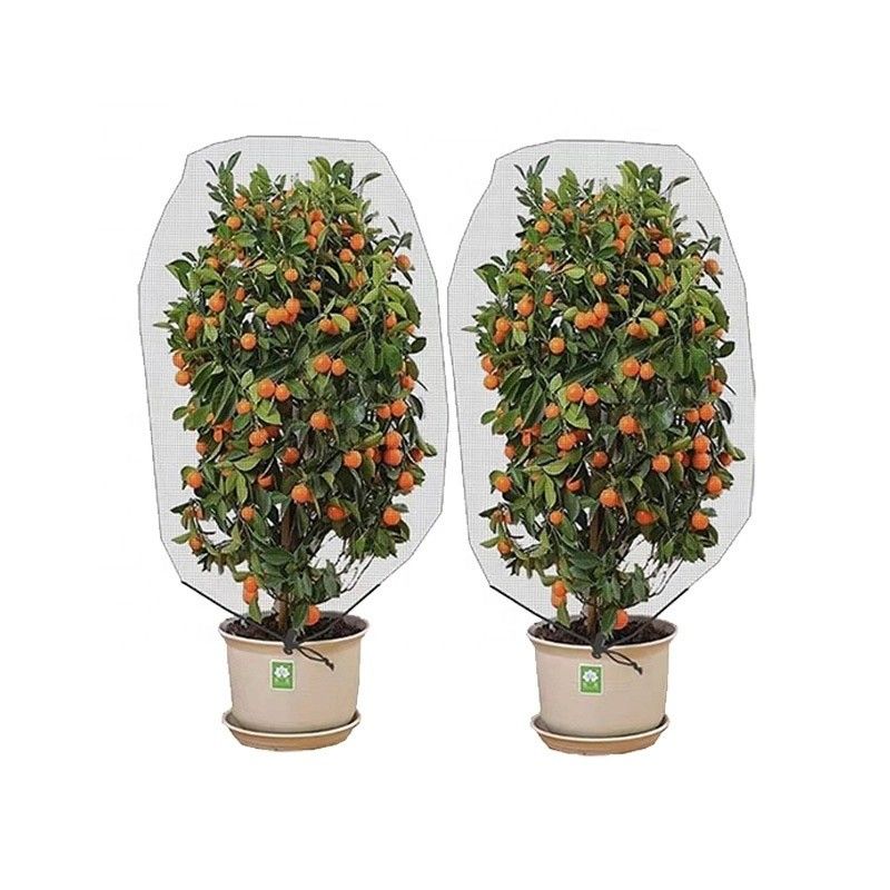 Agricoltura HDPE Plastic Anti Insect Mesh Insect Proof Net per copertura di alberi da frutto Protezione mesh sacchetto efficace controllo dei parassiti