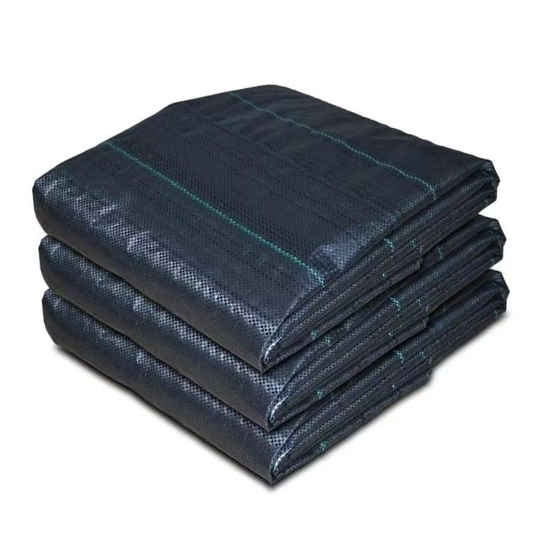 Protezione PP Tissuto Membrana PE Ground Cover Mesh Weed Mat Roll Anti-Grass Weed Mulch