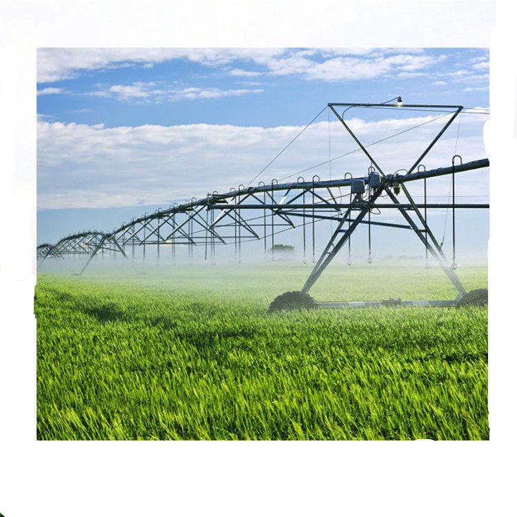 160 pollici di diametro centro pivot e laterale sistema di irrigazione a movimento lineare per migliorare l'efficienza agricola in agricoltura