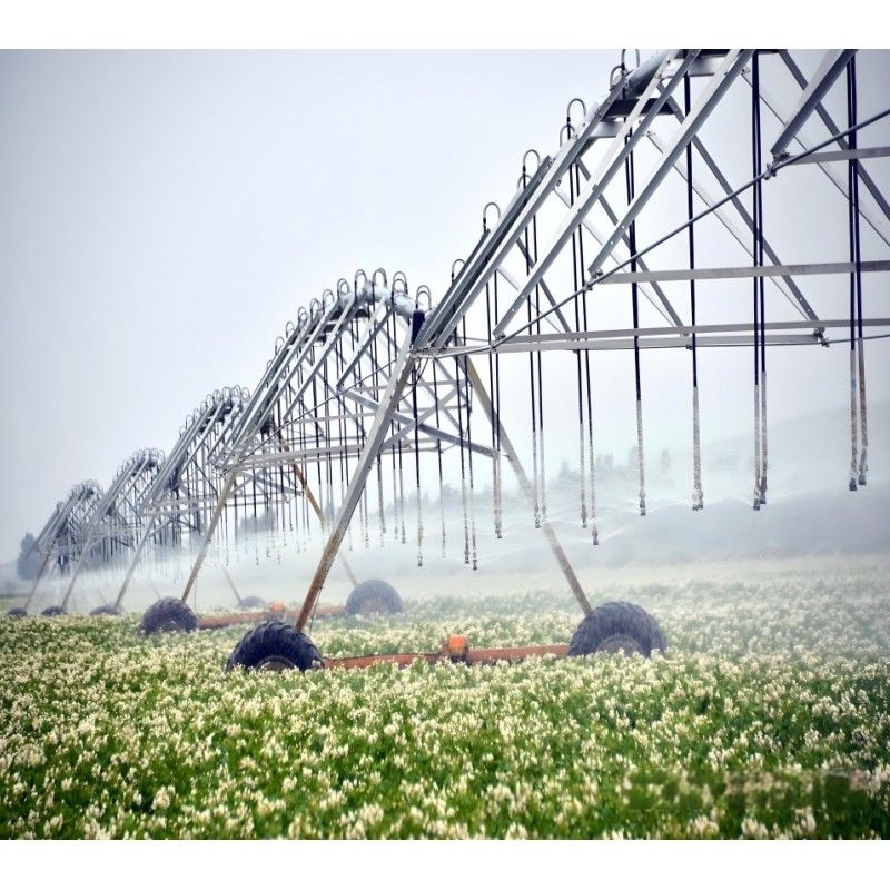 Monitoraggio remoto 2025 Irrigazione ruota di linea laterale sistema di irrigazione agricola per la macchina di irrigazione a spillo