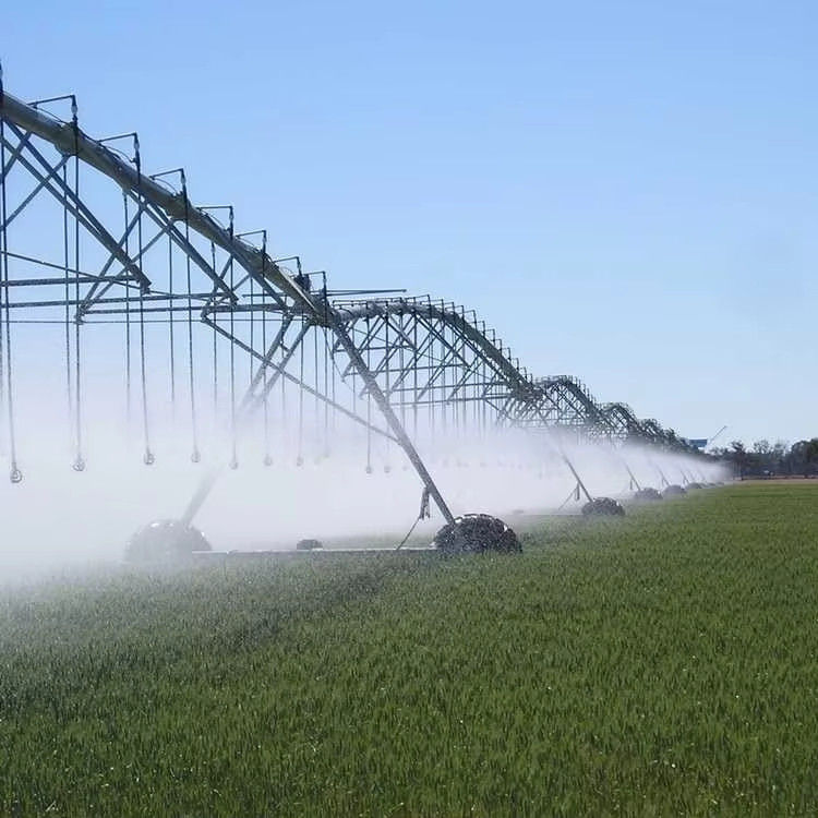 Spray per le imprese agricole prospere Pivot centrale a prova di stagione che offre prestazioni costanti