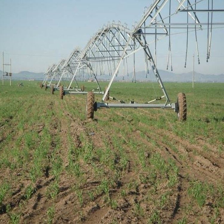 168 cm di diametro Sistema automatico di irrigazione a pivotamento centrale azionato a motore per irrigazione agricola